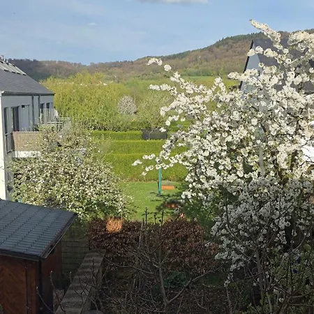 Bookly With 2 1 Bathroom 1 Kitchen And Living Apartamento *